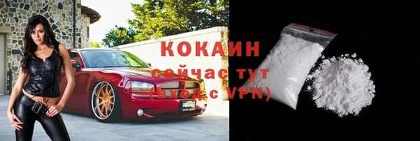 прущие грибы Абаза