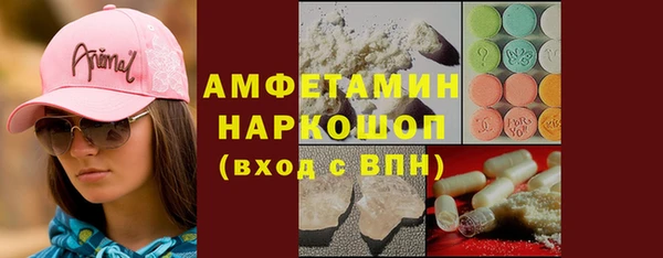 прущие грибы Абаза