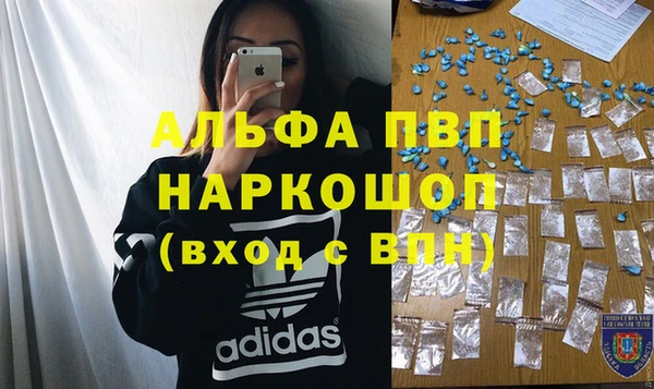 прущие грибы Абаза