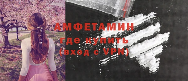 прущие грибы Абаза