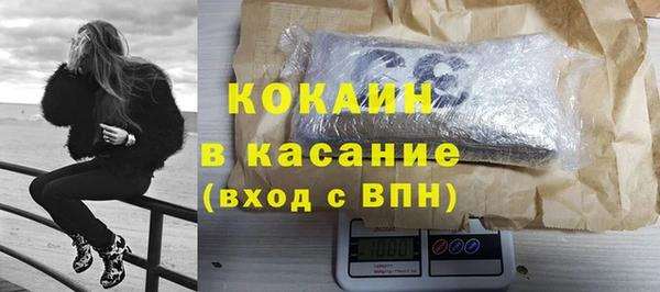 прущие грибы Абаза