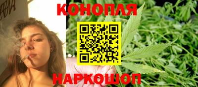 индика Беслан