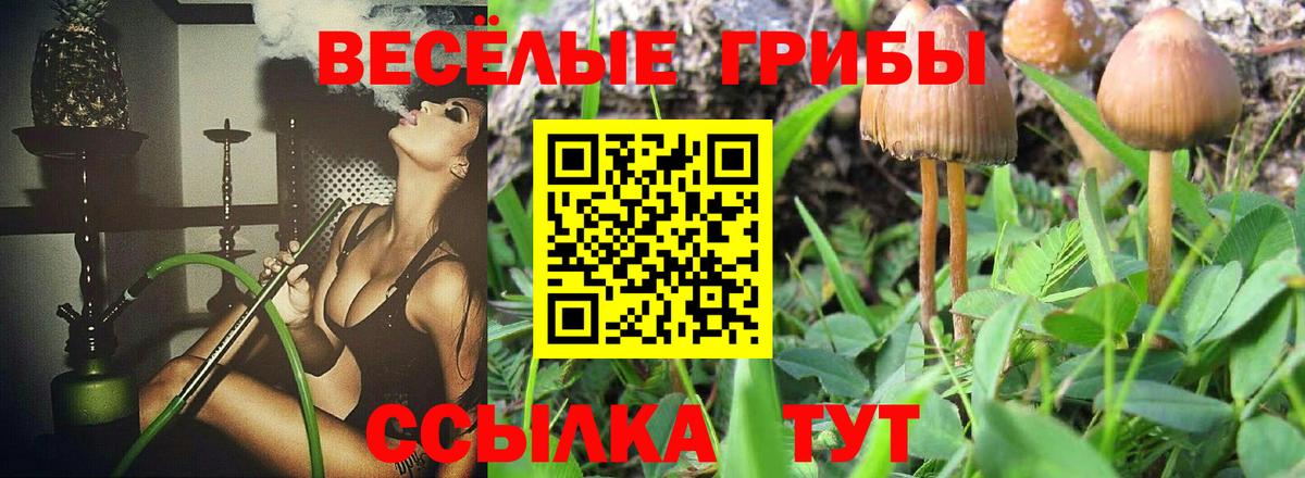 Псилоцибиновые грибы ЛСД Вичуга